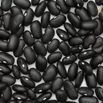 Квасоля оптом від виробника з доставкою