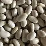 Насіння квасолі Неві Бінс,  Червона довга,  Пінто,  Червона Шап