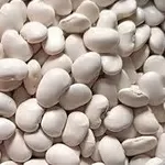 Купуємо квасолю на переробку,  консервування. Самовивіз по Україні