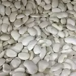 Прийом квасолі. Закупка квасолі. Куплю квасолю.