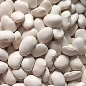 Купуємо квасолю на переробку,  консервування. Самовивіз по Україні