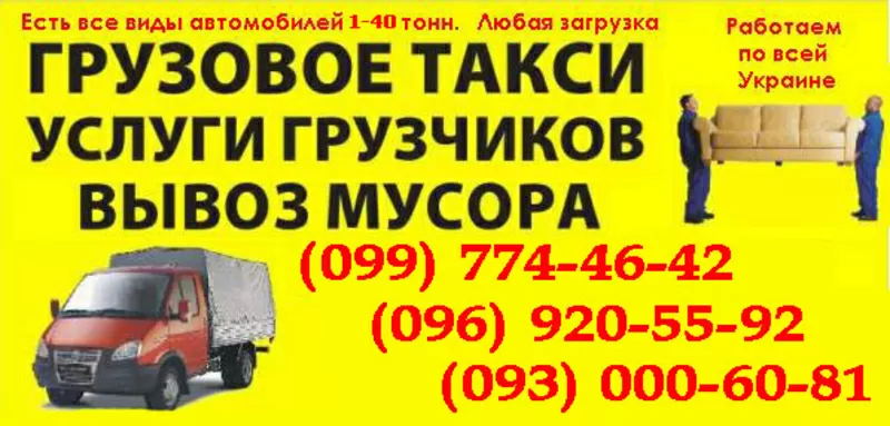 Вантажні перевезення тварин Чернівці. Перевезення тварини в клітинах 