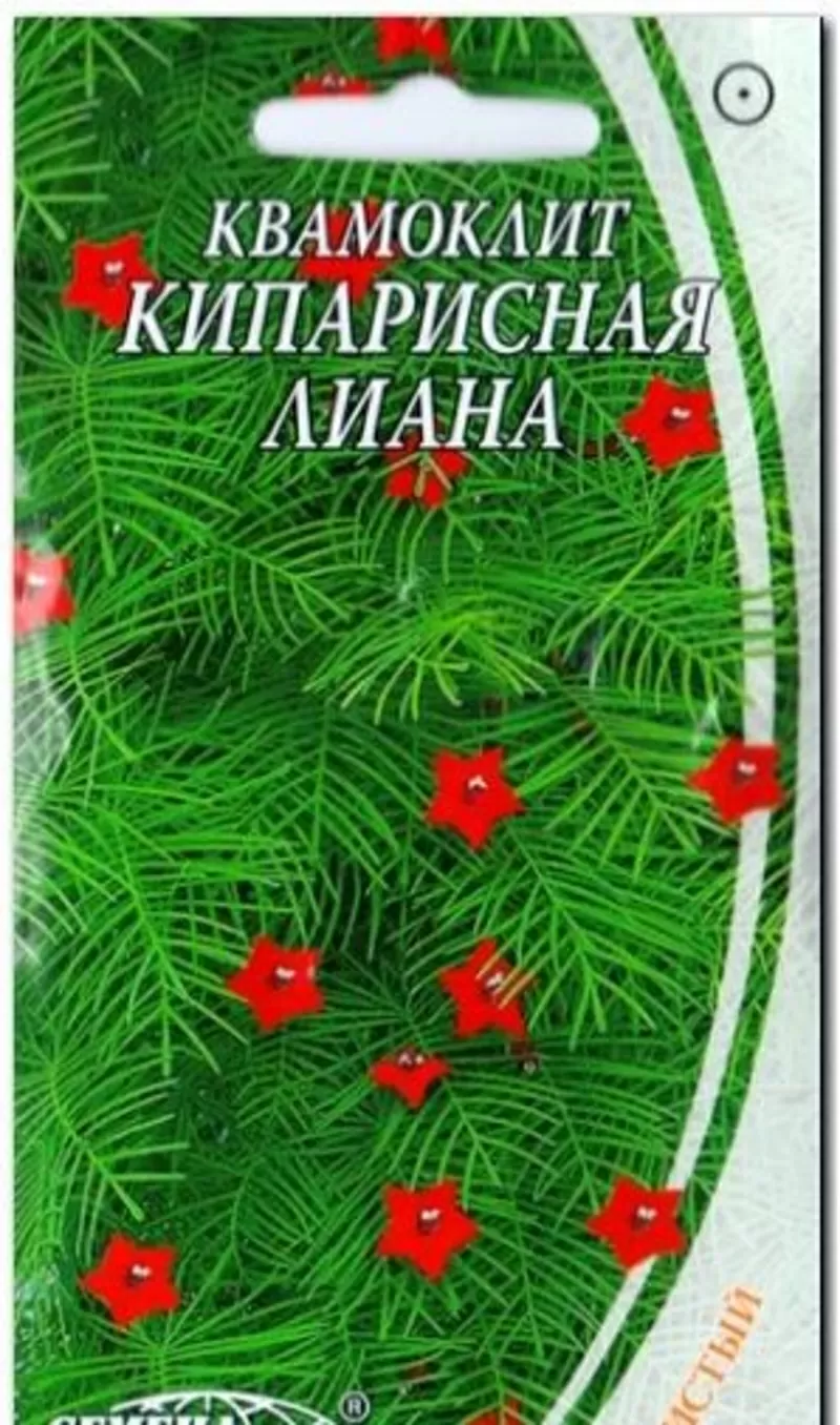 Насіння квамокліта «Кипарисна ліана» червона