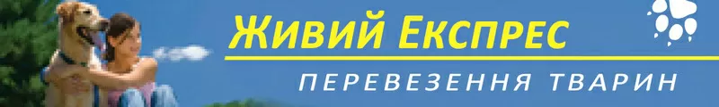 Перевозка животных по всему миру