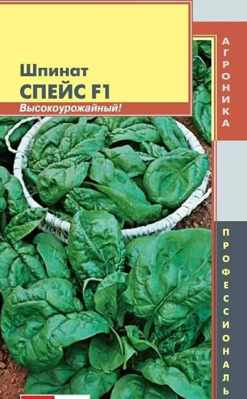 Насіння шпинату «Спейс» F1 - 180 насінин