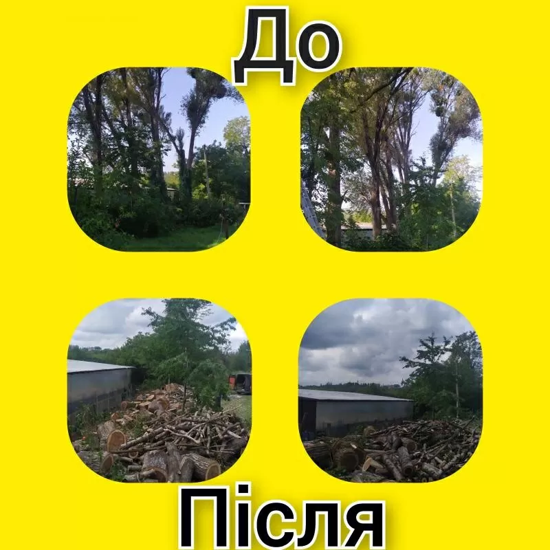 Спил дерев,  валка,  рубка,  обрізка гілок у Чернівцях та області 6